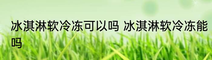 冰淇淋软冷冻可以吗 冰淇淋软冷冻能吗