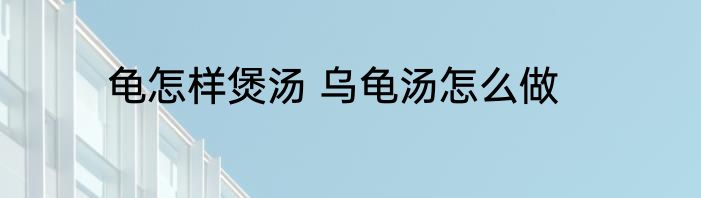 龟怎样煲汤 乌龟汤怎么做