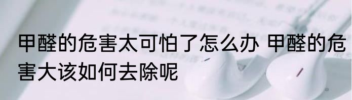甲醛的危害太可怕了怎么办 甲醛的危害大该如何去除呢