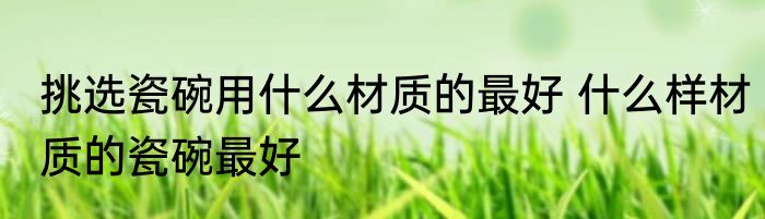 挑选瓷碗用什么材质的最好 什么样材质的瓷碗最好