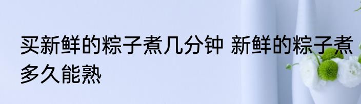 买新鲜的粽子煮几分钟 新鲜的粽子煮多久能熟