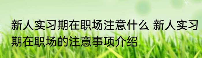 新人实习期在职场注意什么 新人实习期在职场的注意事项介绍