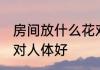 房间放什么花对人体好 房间放哪种花对人体好