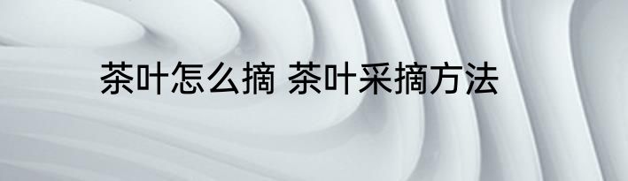 茶叶怎么摘 茶叶采摘方法