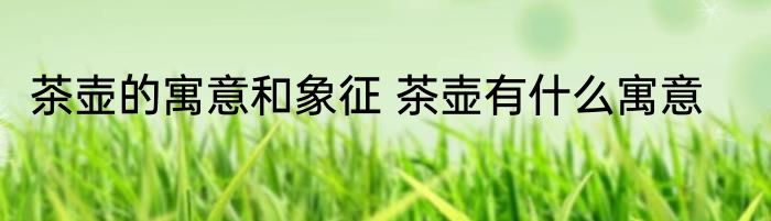 茶壶的寓意和象征 茶壶有什么寓意