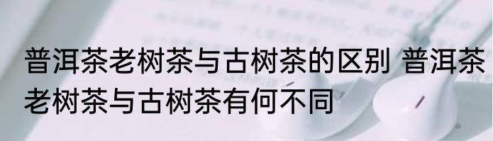 普洱茶老树茶与古树茶的区别 普洱茶老树茶与古树茶有何不同