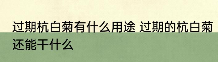 过期杭白菊有什么用途 过期的杭白菊还能干什么