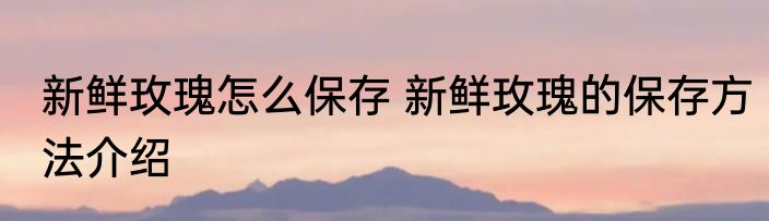 新鲜玫瑰怎么保存 新鲜玫瑰的保存方法介绍