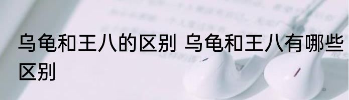 乌龟和王八的区别 乌龟和王八有哪些区别