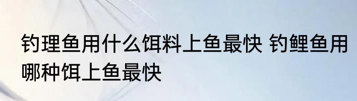 钓理鱼用什么饵料上鱼最快 钓鲤鱼用哪种饵上鱼最快