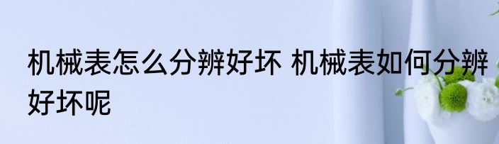 机械表怎么分辨好坏 机械表如何分辨好坏呢