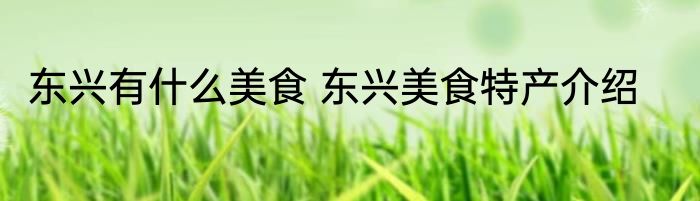 东兴有什么美食 东兴美食特产介绍