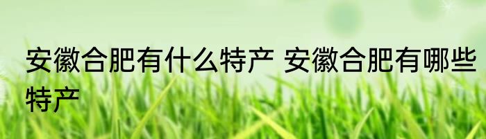 安徽合肥有什么特产 安徽合肥有哪些特产