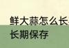 鲜大蒜怎么长期保存 鲜大蒜应该怎么长期保存