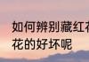 如何辨别藏红花的好坏 怎样辨别藏红花的好坏呢