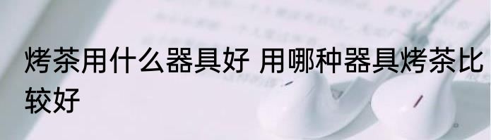 烤茶用什么器具好 用哪种器具烤茶比较好