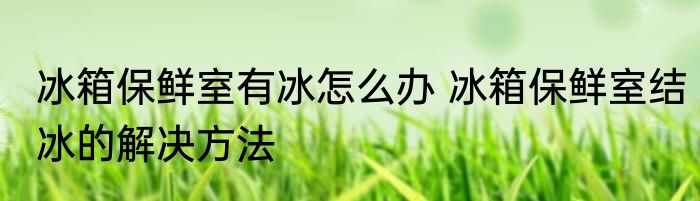 冰箱保鲜室有冰怎么办 冰箱保鲜室结冰的解决方法