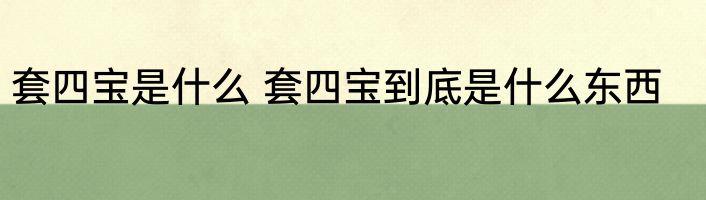 套四宝是什么 套四宝到底是什么东西