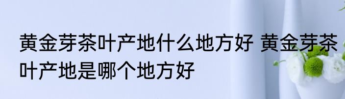 黄金芽茶叶产地什么地方好 黄金芽茶叶产地是哪个地方好
