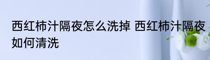 西红柿汁隔夜怎么洗掉 西红柿汁隔夜如何清洗