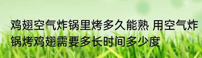 鸡翅空气炸锅里烤多久能熟 用空气炸锅烤鸡翅需要多长时间多少度