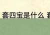 套四宝是什么 套四宝到底是什么东西