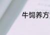 牛饲养方法 牛如何饲养