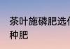 茶叶施磷肥选什么肥 茶叶施磷肥选哪种肥