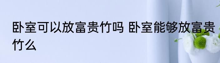 卧室可以放富贵竹吗 卧室能够放富贵竹么