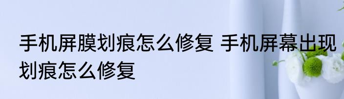 手机屏膜划痕怎么修复 手机屏幕出现划痕怎么修复