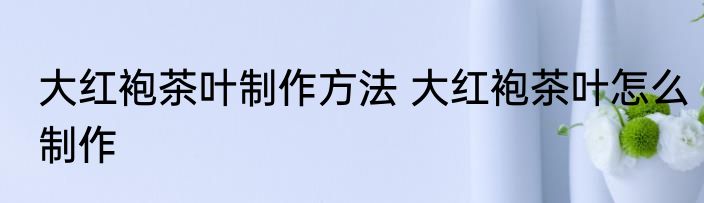 大红袍茶叶制作方法 大红袍茶叶怎么制作