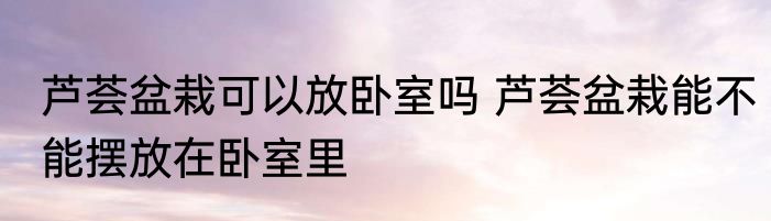 芦荟盆栽可以放卧室吗 芦荟盆栽能不能摆放在卧室里