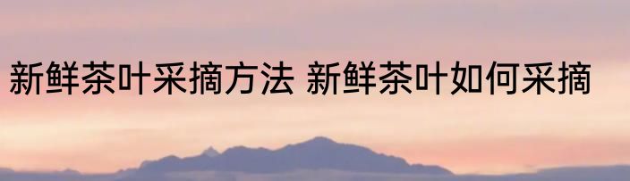 新鲜茶叶采摘方法 新鲜茶叶如何采摘