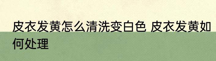 皮衣发黄怎么清洗变白色 皮衣发黄如何处理
