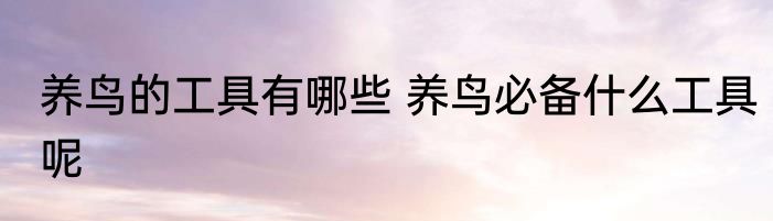 养鸟的工具有哪些 养鸟必备什么工具呢