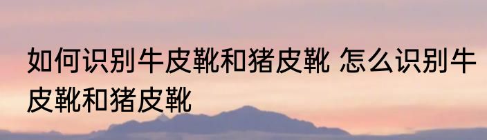 如何识别牛皮靴和猪皮靴 怎么识别牛皮靴和猪皮靴