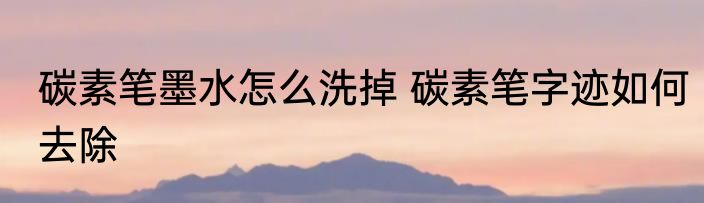 碳素笔墨水怎么洗掉 碳素笔字迹如何去除