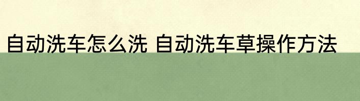 自动洗车怎么洗 自动洗车草操作方法
