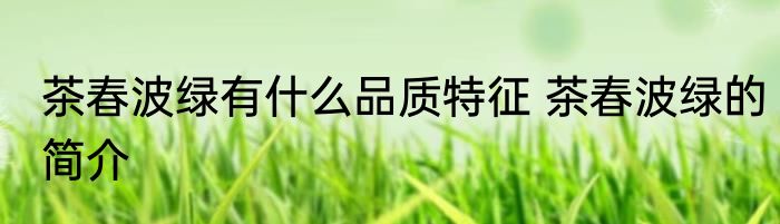 茶春波绿有什么品质特征 茶春波绿的简介