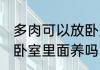 多肉可以放卧室吗 多肉植物可以放在卧室里面养吗