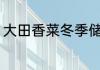 大田香菜冬季储存方法 如何保存香菜
