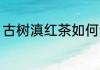 古树滇红茶如何泡 古树滇红茶怎样泡