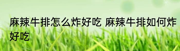 麻辣牛排怎么炸好吃 麻辣牛排如何炸好吃