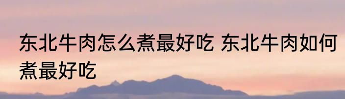 东北牛肉怎么煮最好吃 东北牛肉如何煮最好吃