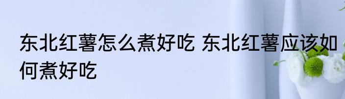 东北红薯怎么煮好吃 东北红薯应该如何煮好吃