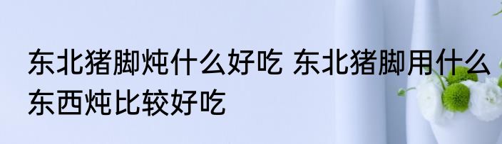 东北猪脚炖什么好吃 东北猪脚用什么东西炖比较好吃