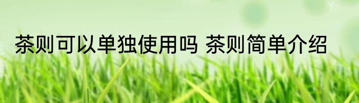 茶则可以单独使用吗 茶则简单介绍