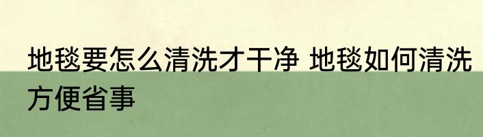 地毯要怎么清洗才干净 地毯如何清洗方便省事