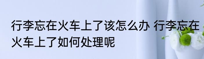 行李忘在火车上了该怎么办 行李忘在火车上了如何处理呢