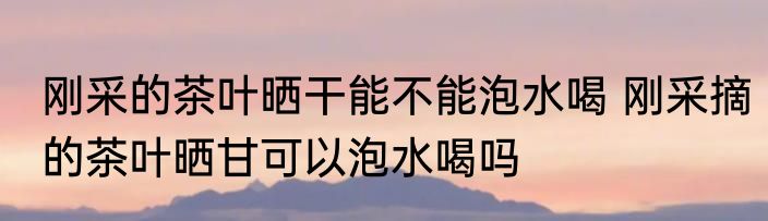 刚采的茶叶晒干能不能泡水喝 刚采摘的茶叶晒甘可以泡水喝吗